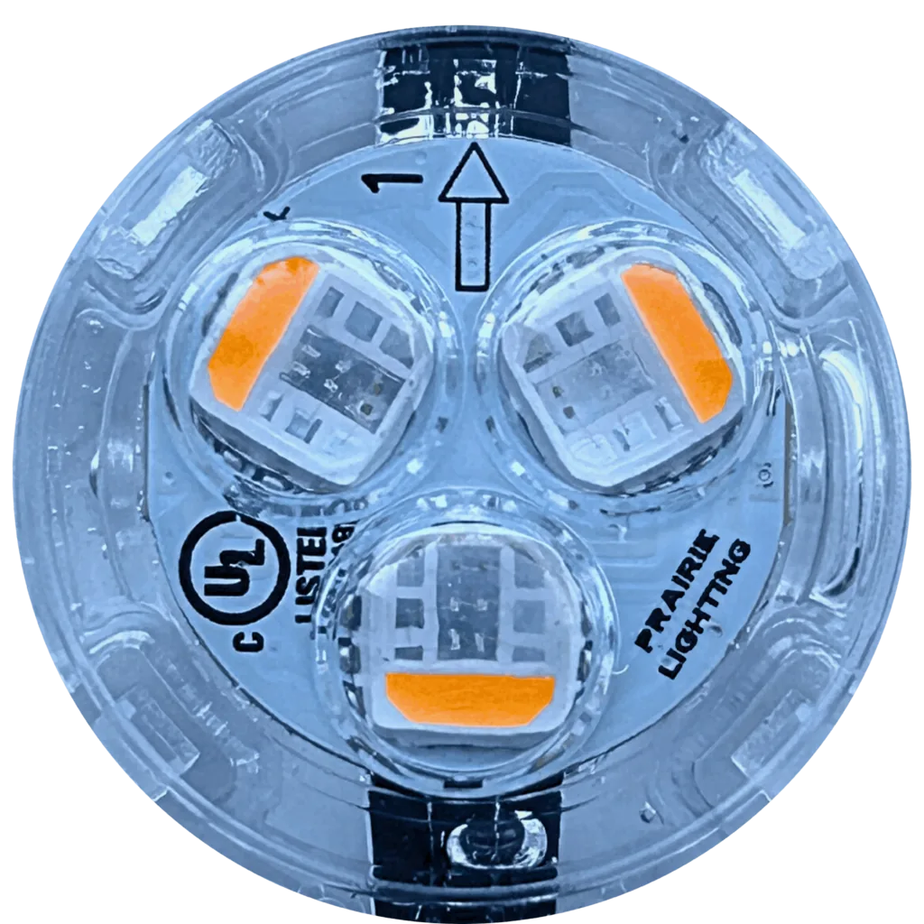 Prairie Lighting 30mm Pro 24V RBGWW commercial LED bulb