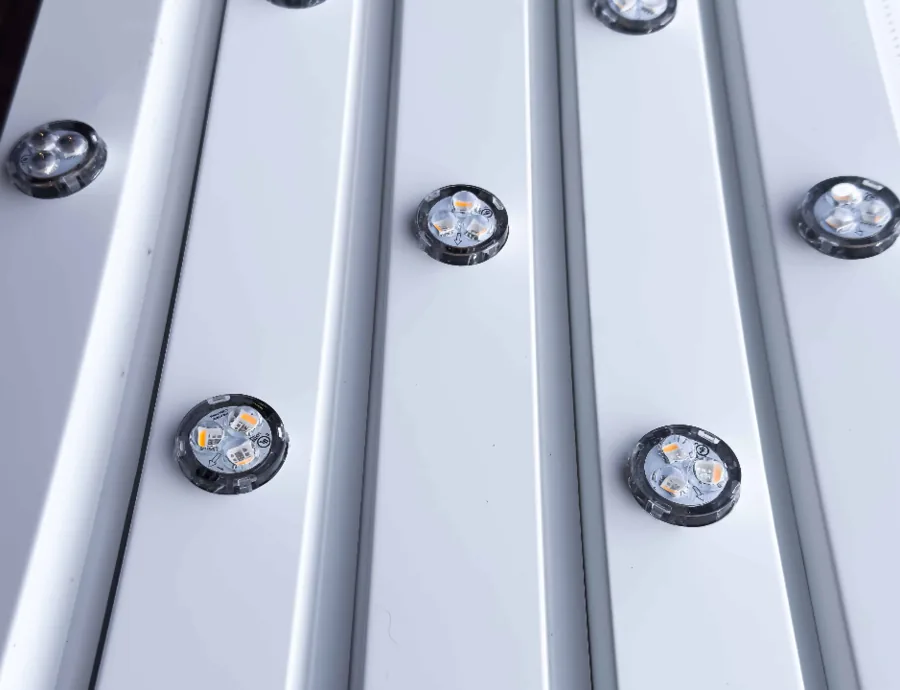 Close up of Prairie Lighting 30mm Pro 24V RBGWW LED bulbs