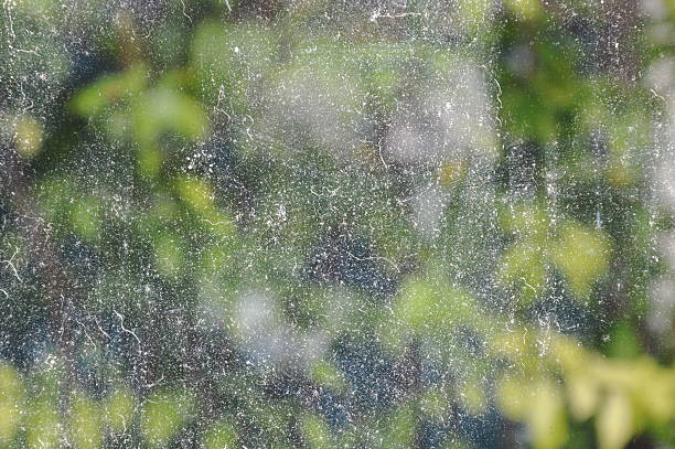 water stain on glass door in the house