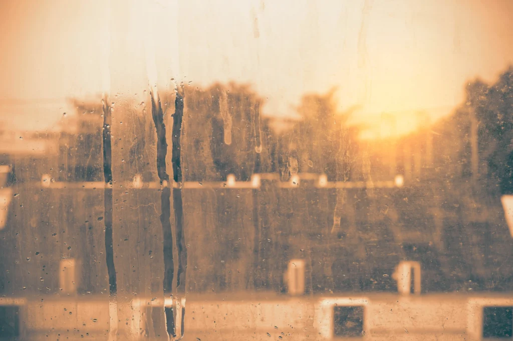 Professional cleaning Edmonton home windows during winter for better efficiency