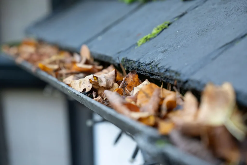 Clogged gutters causing roof and foundation damage in Edmonton